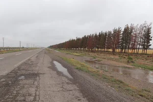 شرکت ملی مسکن و صنایع ساختمانی