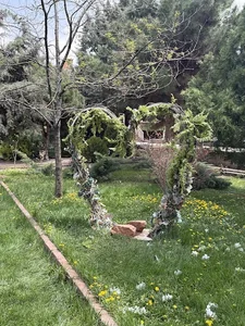 باغ تالار ساوالان 5