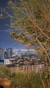 بیونیکا طراحی فضای سبز و محوطه سازی