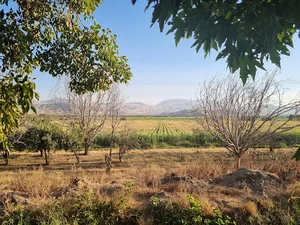 کمال الدین