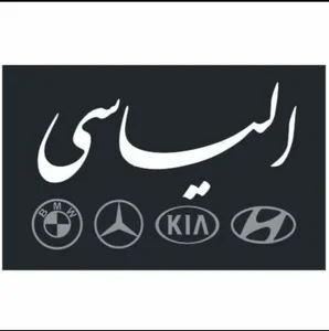 اتو الیاسی 4