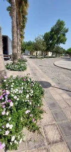 پارک ساحلی سیمرغ 4