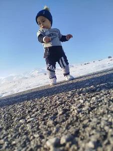 مرغ فروشی برادران میکائیلی
