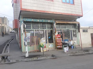 فروشگاه برزگر