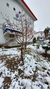 پورسینا بیمارستان 2