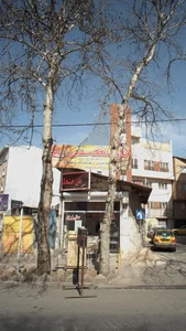 نان سنگک سنتی زرین 2