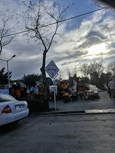 بوستان بوشلو