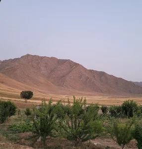 روستای تپه شارک