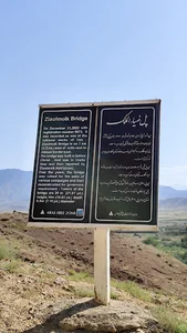 پل ضیاء الملک