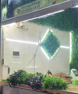 سبزی فروشی سبزکده 2