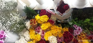 محمود غفاری