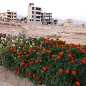 مشاور املاک مرکزی