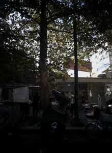 درمانگاه تخصصی دندانپزشکی