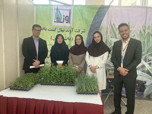 آوند نهال