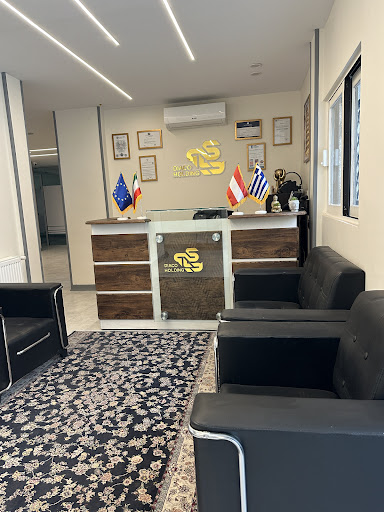 هلدینگ مهاجرتی دیاکو