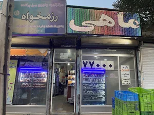 مرغ و ماهی و پروتئینی رزمخواه