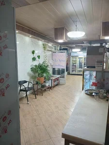 باشگاه بلوط