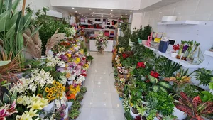 گل خوشه