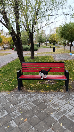 میدان مالک اشتر