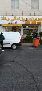 بیرون برو پزندگی وکلا