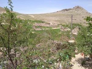 چایپاره تورک