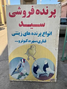 پرنده فروشی سید