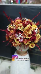 گالری گل گندم