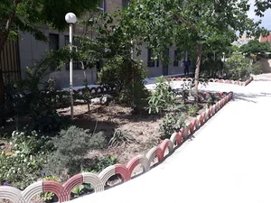 حسان