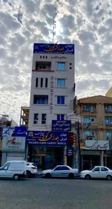 فرش موسوی - زیتون کارمندی 2
