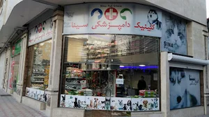 حمدی