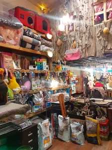 پت شاپ آرنامیو