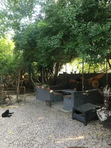 Nooran Cafe Gallery