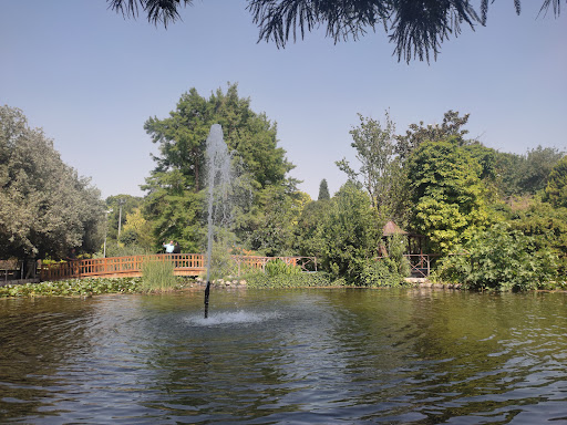 استخر