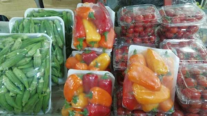 سوپر میوه دستچین