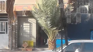 فروشگاه مواد غذایی دهقان