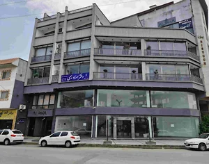 موسسه فرهنگی هنری آونگ نگاه نو