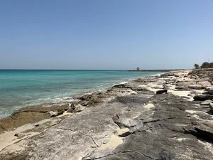 ساحل مرجان