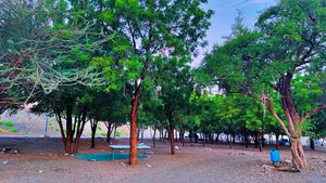 Alhoura Park