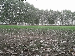 زمین فوتبال شهدای بالابصرا