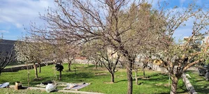 دامداری حاج حسن بانویی