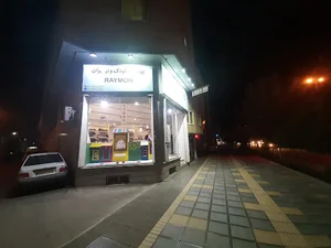 پوشاک رایمون