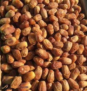 Wholesale & Premium Dates Supplier