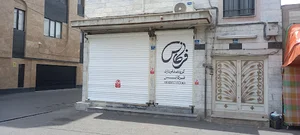 خدمات صوتی فرکانس