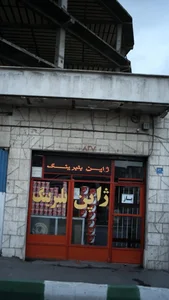 ژاپن بلبرینگ، فداییان اسلام شهرری 2