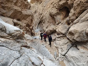 دیواره ارم
