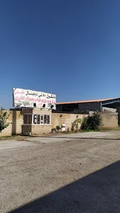 مرکز فروش گل کلم عقیلی قلی زاده