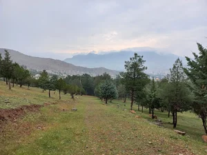 پارک ارغوان