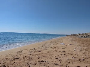 ساحل 37