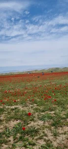 جر بهرامشاه