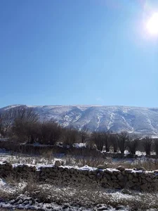 شنغال
